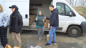 Ярмарка-Выставка  породной Птицы ,голубей и кроликов в Орле Видео ОРИГИНАЛ