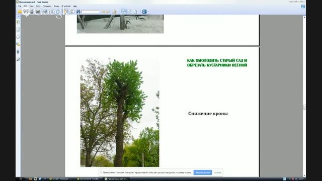 Рабушко Николай - Как омолодить старый сад и обрезать кустарники весной. Полная версия вебинара. смотреть онлайн