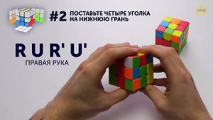 Как научиться собирать любой кубик Рубика за считанные секунды