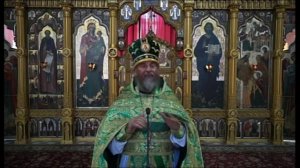 Архимандрит Амвросий (Юрасов). Пятидесятница. Проповедь 8 июня 2014 г.