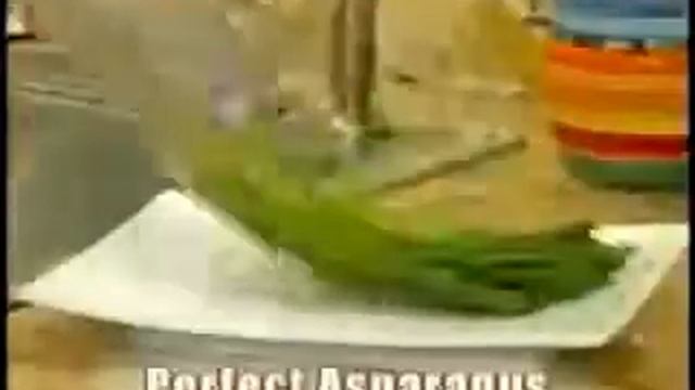 Сосуд Для Варки Спагетти Итальяно Pasta Express смотреть онлайн