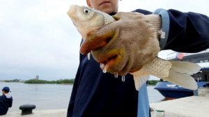 Рыбалка в ЦЕНТРЕ АСТРАХАНИ