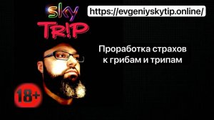 Отзыв Андрея Н. I SkyTrip