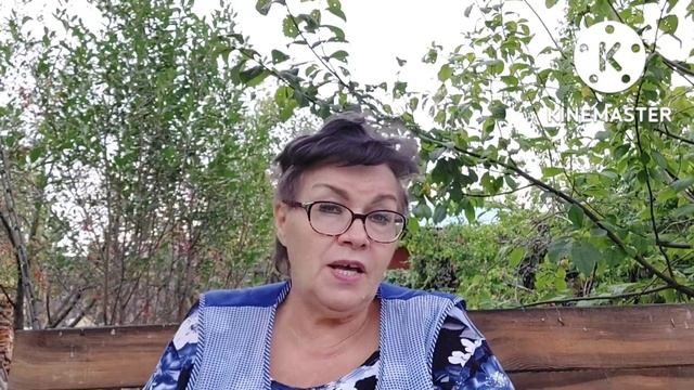 1304. Грибочки-грибы... смотреть онлайн