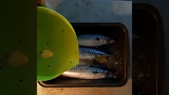 Как ВКУСНО Засолить Рыбу в домашних условиях!Простой и Пошаговый Рецепт!