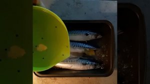 Как ВКУСНО Засолить Рыбу в домашних условиях!Простой и Пошаговый Рецепт!