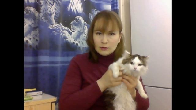 каша с тыквой, кот лохматый (продолжение следует...)) смотреть онлайн