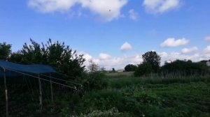 Вторая обработка томатов. Готовим баковую смесь