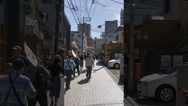 Прогулки по Японии. Подписывайся, чтобы увидеть новые видео из Японии и Китая. #япония #жизньвяпонии