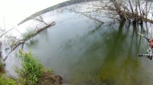 Рыбалка на Оби ловля крупной щуки окуня