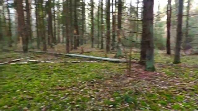 САМОДЕЛЬНЫЙ ТРАКТОР (ФИНАЛ)