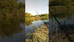 Рыбалка в Ростовской обл. р.Быстрая