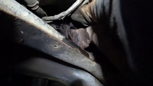 Замена прокладки между выпускным коллектором и катализатором Citroen C8