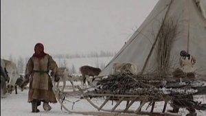 Питание ненцев. Что едят коренные жители Севера на Ямале?