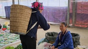 Harvesting grapefruit to sell at the market and buying vegetables to plant [Nguyen Hong Lien