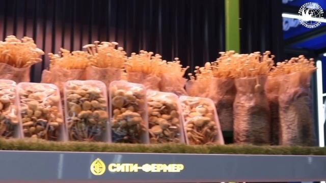 «Сделано в России-2022»