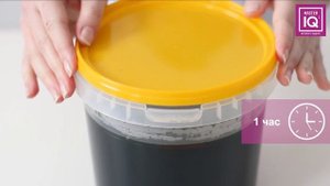 Набор для опытов «Волшебные кристаллы», Master IQ (Мастер IQ)