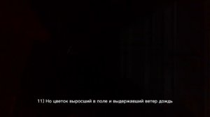 Цитаты из АНИМЕ на все случаи жизни! Топ 20 цитат из аниме