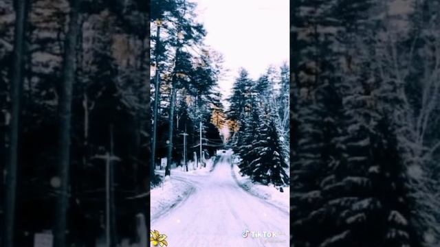 Пророческое Слово- БЛАГОДАРИ -НЕ РОПЩИ! ВСЕ КО БЛАГУ, ЛЮБЯЩИМ БОГА!