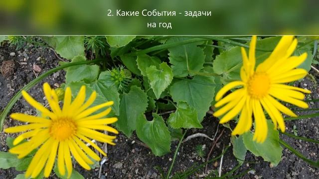Ваш личный гороскоп на год - соляр - о чем Вам расскажет астролог?