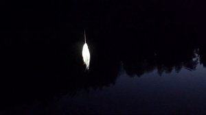 Рыбалка на реке Луга. За налимом. Октябрь.