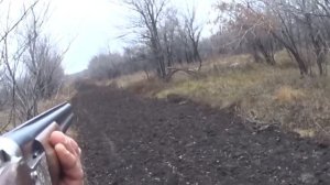 Охота на зайца русака с гончими. Отличная работа гончаков, залог хорошей охоты.Сезон 2023-2024 №171