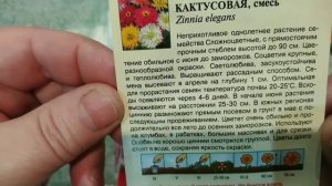 Обзор семян цветов на 2020 год.