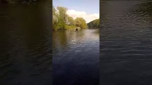 Лодка солар 330 и sea pro 9.9(15)(2)