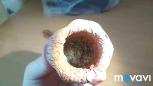 Обзор фигурки ЧУЖОГО/ALIEN с AliExpress/