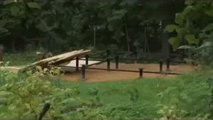 ворота распашные на винтовых сваях