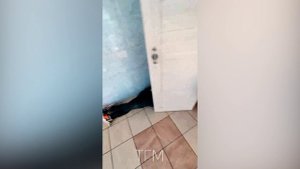 ТИК ТОК ПРИКОЛЫ / ТИК ТОК ГОЛОВНОГО МОЗГА №4