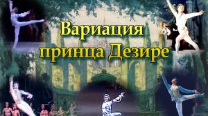 Чайковский П. И. «Спящая красавица». Вариация принца из III акта балета