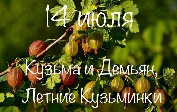 День кузьмы и демьяна