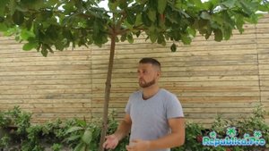Какая погода в октябре в Доминикане? (доминикана. доминикана2017. доминикана цены. доминикана видео