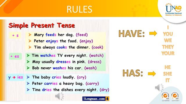 Present Simple Affirmative смотреть онлайн