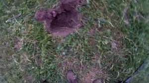 Сказочные места! Фредди копает с xp Deus и Вам Советует