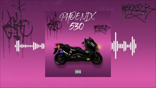 PHOENIX-530