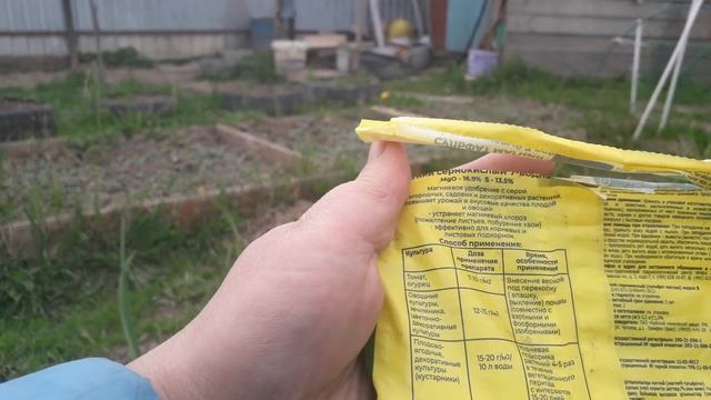 Вторая подкормка чеснока весной чтобы он не желтел