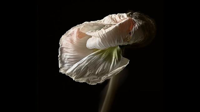 Marketa Irglova and Glen Hansard If You Want Me смотреть онлайн