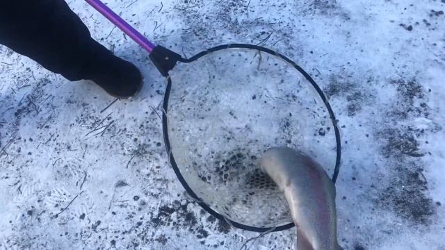 Мисайлово - первая пойманная форель 2020 смотреть онлайн