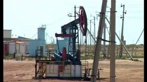 Актау - Кладовая урана - Их нравы