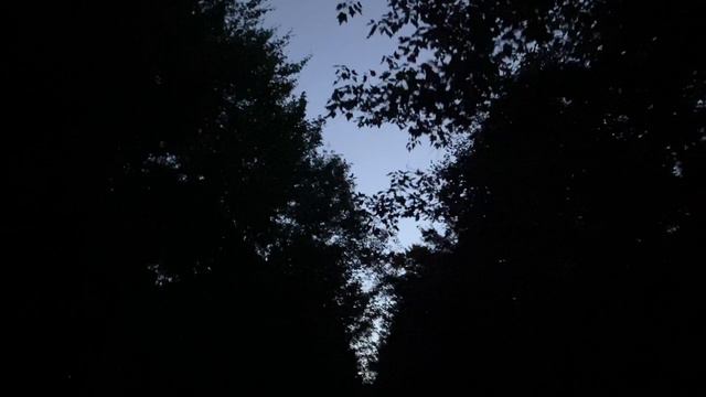 When You Were Free by MODAFFERI смотреть онлайн