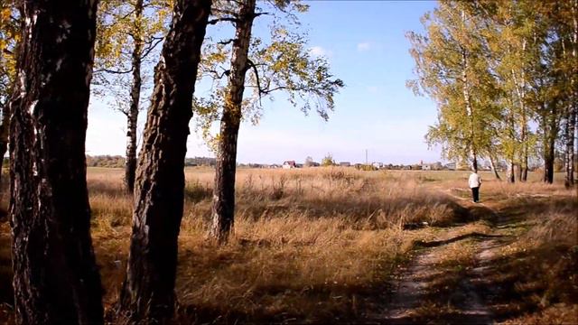 Перелесок. Осень.