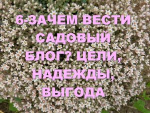 6-Зачем вести садовый блог? Цели, надежды, выгода.