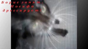 ЭТО Я ТВОЯ МАМА ЗВОНЮ)))