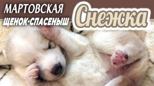 ❤️ СНЕЖКА девочка-спасеныш из пакета на морозе,  ПРОШУ РЕПОСТЫ, друзья, чтобы ДОМОЙ, а НЕ В ПРИЮТ