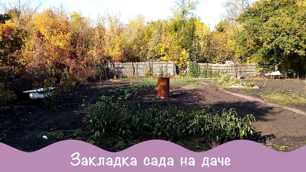 Обхохочешься урожай корнеплодов. Про дачу 51. Закладка сада. смотреть онлайн