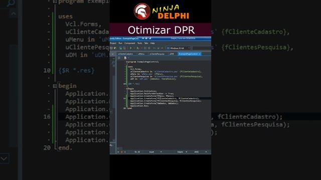 Como Otimizar DPR no Delphi?