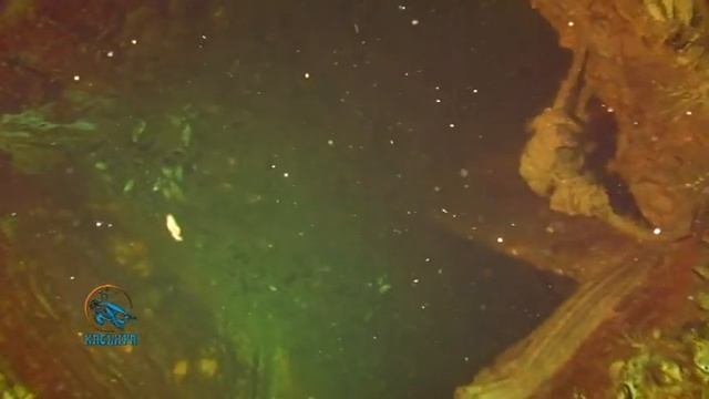 Tendra.VOB смотреть онлайн