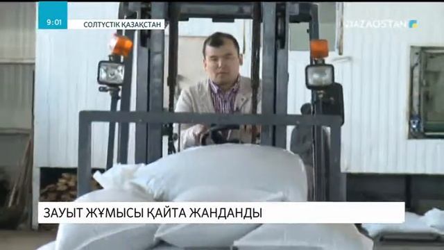 СҚО-да күнбағыс майын өндіретін зауыт жұмысы қайта жанданды смотреть онлайн